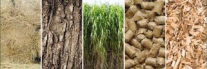biomass-supply-chain-1